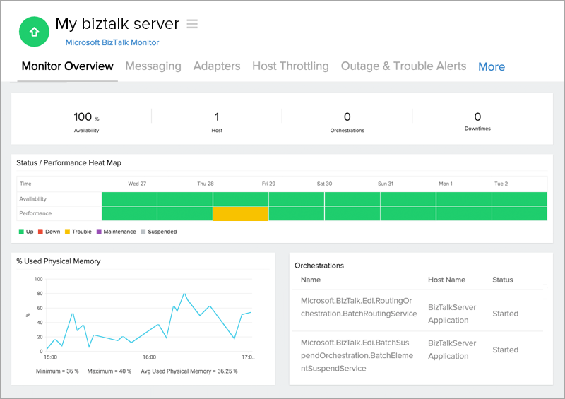 BizTalk Monitor Overview BizTalk Monitor Overview